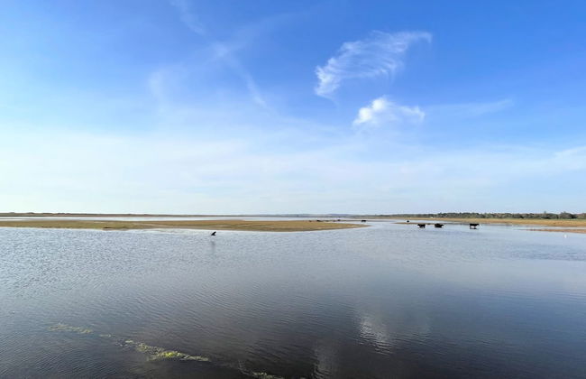 "Mella" - 625m from the sea - Photo 4