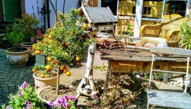 Willkommen in unserem kleinen Paradies - Foto 3