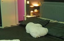 Secret Room Anagni - Photo 80