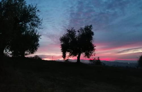 Casale Il Picchio Verde - Foto 28