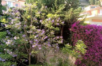 La plus belle vue de Villefranche - Foto 13