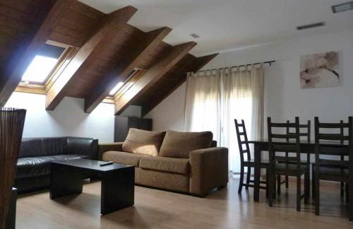 Apartamentos Puerta de Ordesa - Photo 45