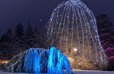 Casa Bosco - Photo 5