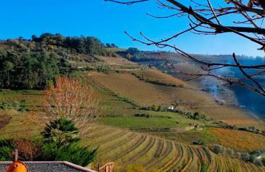 Quinta de Baixo - Photo 32