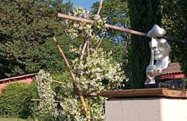 le Mas de la Jardine - Foto 26