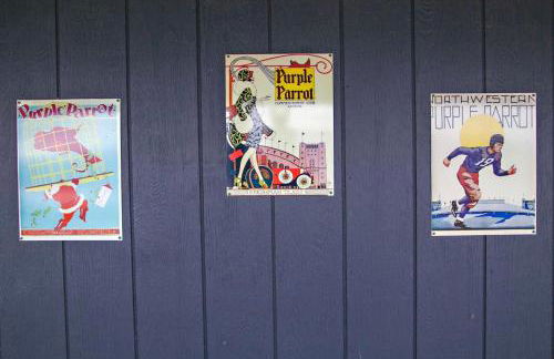 Purple Parrot - Foto 21