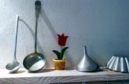 Ciglieri SantErmo Casciana Terme Lari PET&BIKE friendly FREE PARK - Foto 19