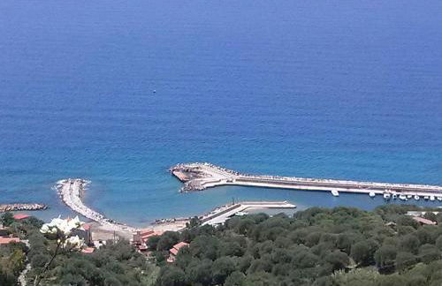 le case dei fiori - Foto 51