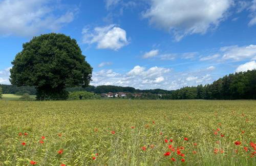 Ferienwohnung auf dem Land, Haus Hans Stepha - Foto 18