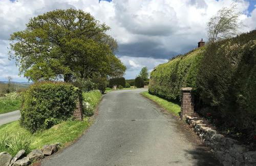 Berwyn View - Photo 36