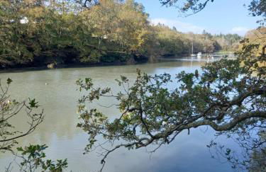 Gîte Ty Laouen Clohars-Carnoët - Foto 21