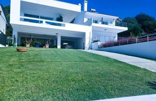 Blue and white - Foto 37