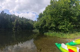 Domek w polu - Foto 56