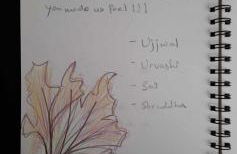 Little House On The Hill Walks Castle Restaurants pet friendly - Foto 24