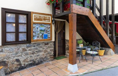 Apartamentos Río Cubo - Foto 9