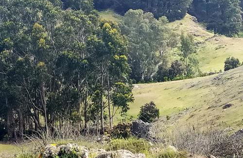 Casa Omaira y Nacho - Foto 76