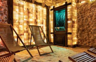 Willa pod Warszawą & SPA & Grota Solna - Foto 25