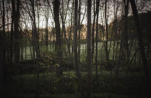 Domki pod Krakowem - Stare Sady - Photo 109