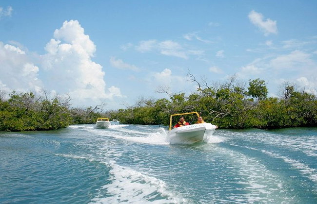 Jungle Tour - Mangroves & Snorkel For Couples - Photo 3