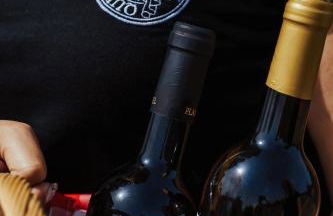 Alojamentos Plansel - No Coração das Vinhas do Alentejo - Foto 26