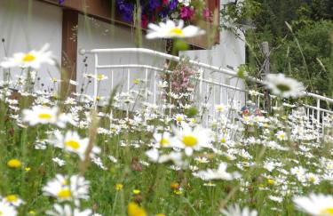 Albingers Landhaus - Photo 46