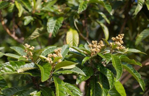 Apartments Six - Photo 31