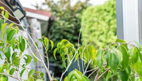 Gemütliche Ferienwohnung - Foto 5