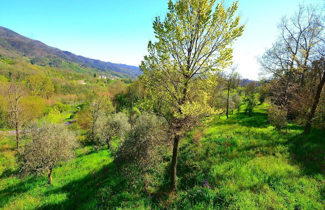 Rustic Cottage Charm in Liguria - Foto 32