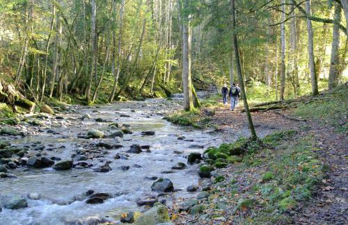 Ferienhaus Weiler im Allgäu - Photo 42