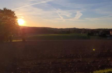 FeWo Harling - Waldoase - Foto 20