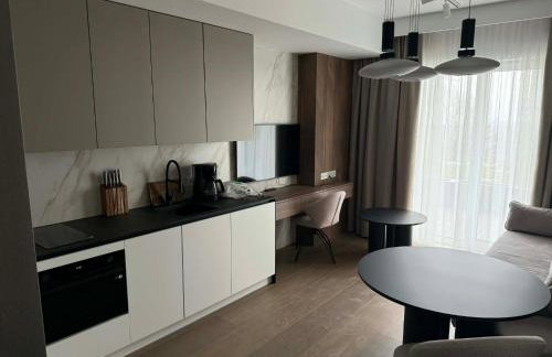 Willa Zieleniec - Foto 12