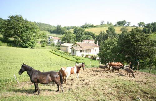 Borgo Di Cortolla - Foto 18