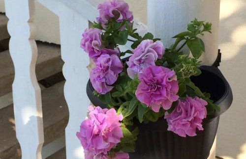 Willa Aleksandra - Apartamenty - Foto 13