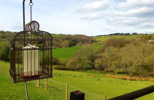 Bosvean Cottage - Foto 20