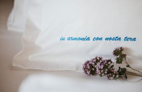 Alpine Chalet Sauter - Photo 9