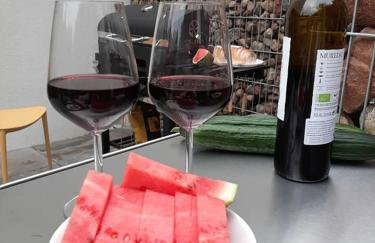 Skorzęcin Pachnie Miętą - Foto 24