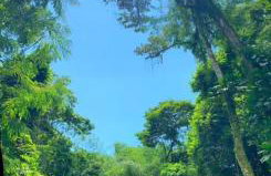 Recanto Maciel casa rústica em meio da natureza próximo a praia trilhas cachoeira - Foto 29