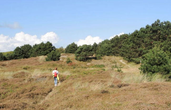 Holiday Apartment "wangerooger Tied" - Foto 11