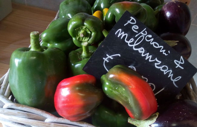 Camping Agrituristico Carso - Foto 12