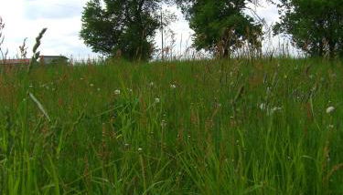 Familienhotel Brandtsheide - Foto 3