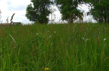 Familienhotel Brandtsheide - Foto 3