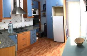 Las Canteras Aquarium - Foto 17