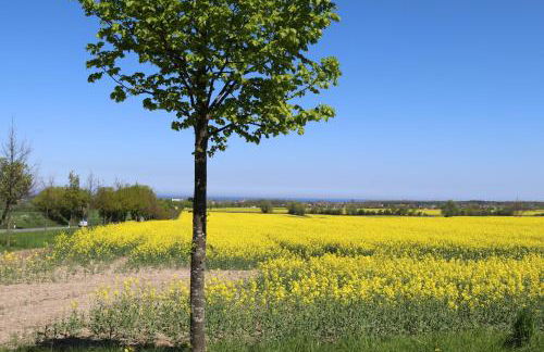 Ferienhaus - Foto 21