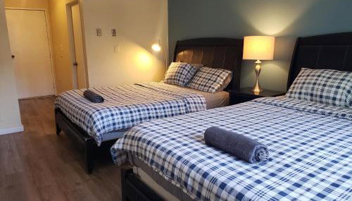 Beverly Hills Studios - Photo 3