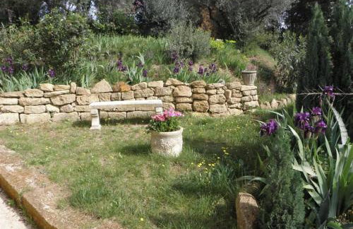 Les bananiers - Foto 26