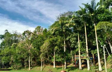 Sarandy Hotel Eco Parque - Photo 35