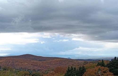 GiuMa Tuscany Historic Lux Farmhouse near Saturnia Hot Springs - Foto 50