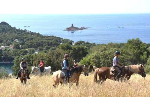 Dans un cadre d'exception, Vue mer panoramique à Agay Côte d'Azur, Village Vacances Cap Esterel, 2 chambres, avec jardin, golf, climatisation, Wifi, 5 piscines - Foto 51