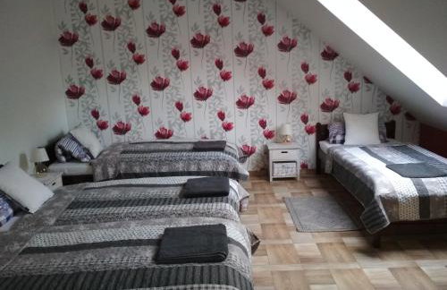 Koci Grzbiet Agroturystyka - Foto 27