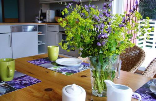 Ferienwohnungen Schönbachtal - Foto 29